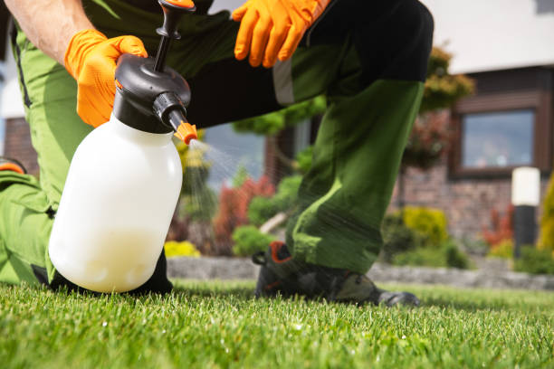 Best Pest Removal Services  in Wheeling, IL