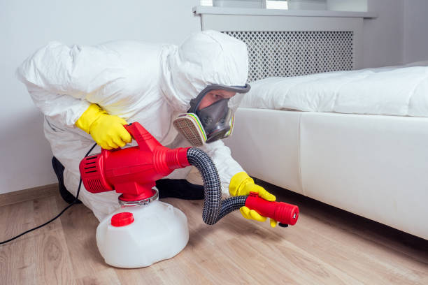 Trusted Wheeling, IL Pest Control Experts