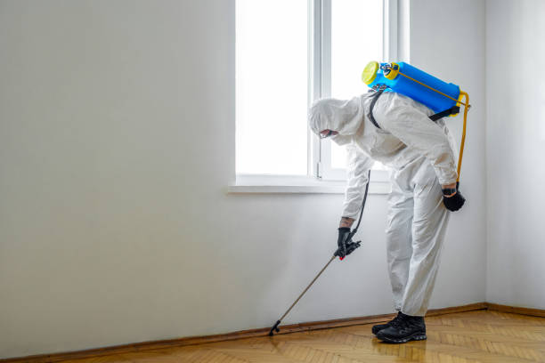 Best Pest Control for Businesses  in Wheeling, IL