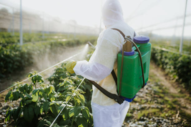 Best Best Pest Control Companies  in Wheeling, IL
